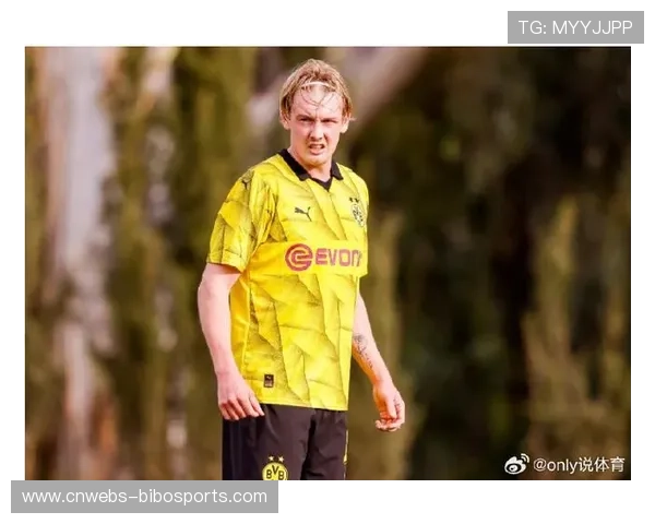 多特6名合同到期球员去留分析 聚焦布兰特未来去向